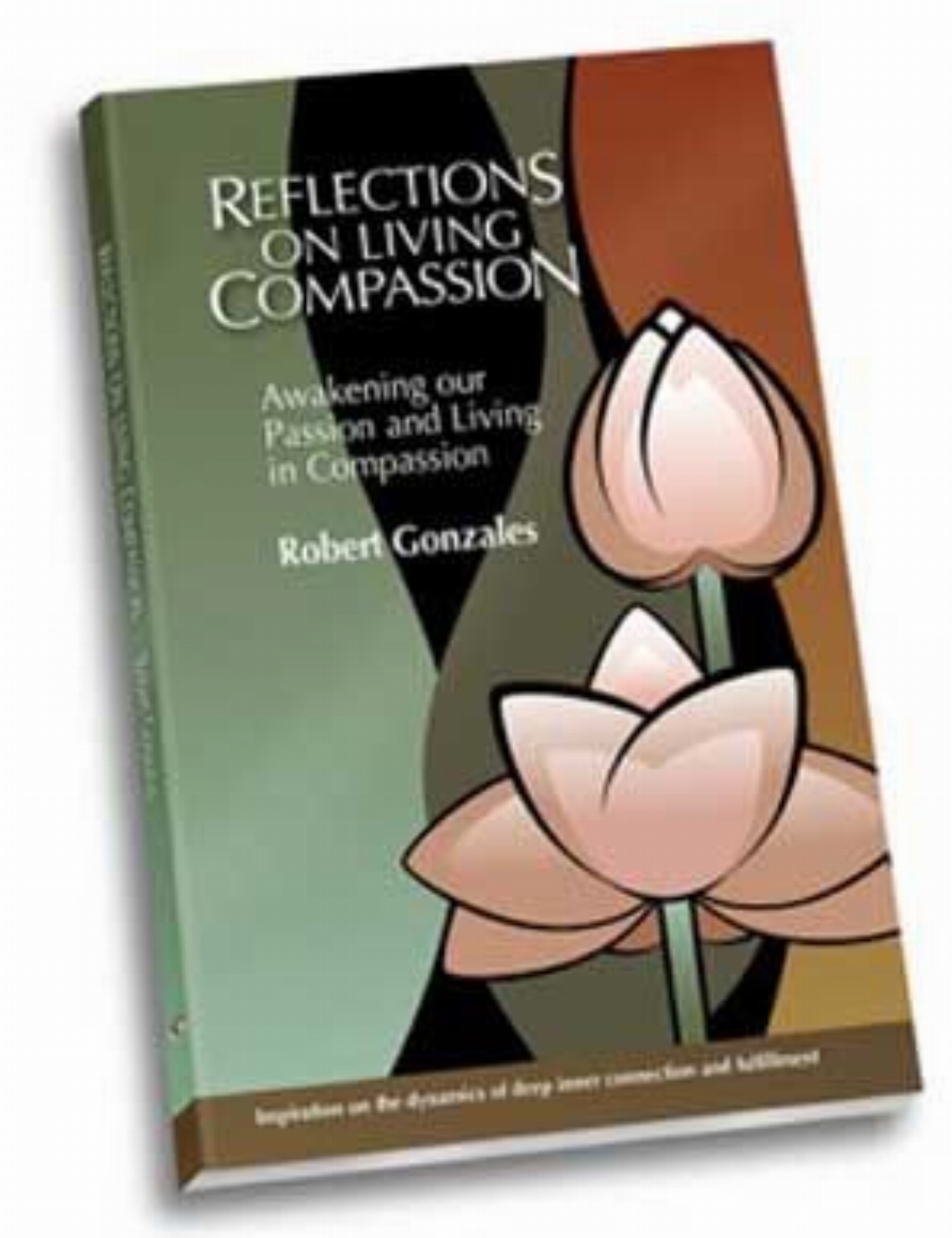 Jewel: Reflections on Living Compassion